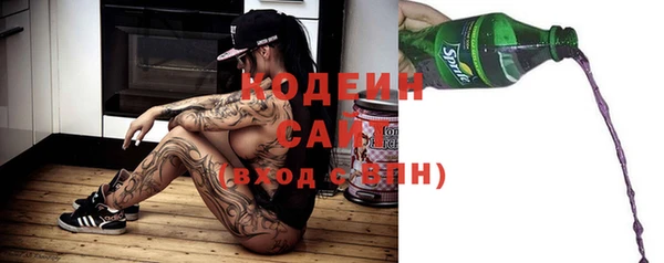 ECSTASY Богданович
