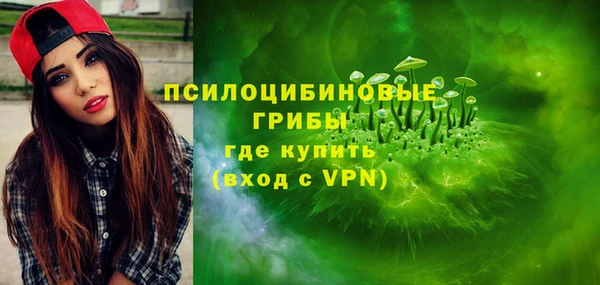 экстази Бородино