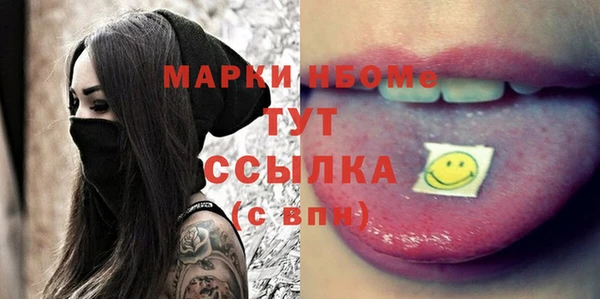 ECSTASY Богданович