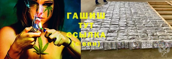 ECSTASY Богданович