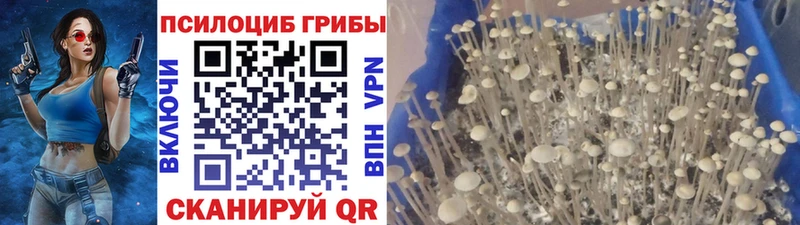 Псилоцибиновые грибы прущие грибы  Улан-Удэ 